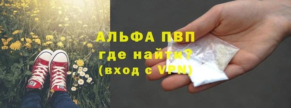 индика Лихославль