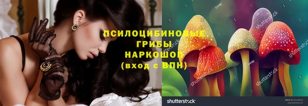 крисы Липки