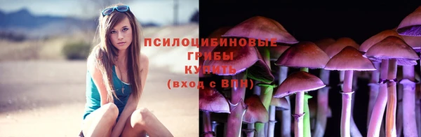 крисы Липки