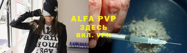 индика Лихославль