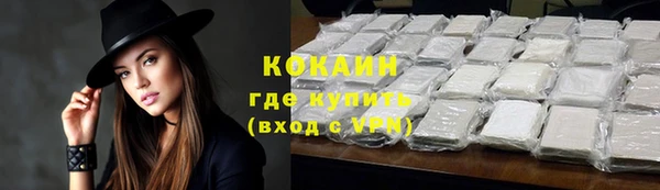 крисы Липки