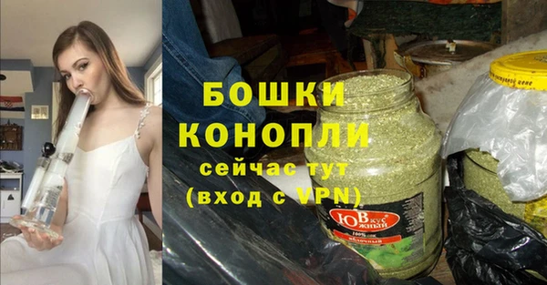 индика Лихославль