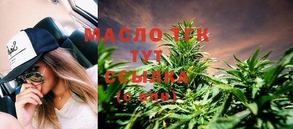 индика Лихославль