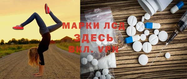 индика Лихославль