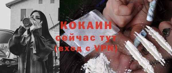 молекула духа Лиски