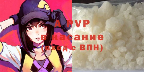 индика Лихославль