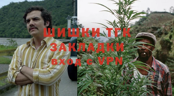 молекула духа Лиски