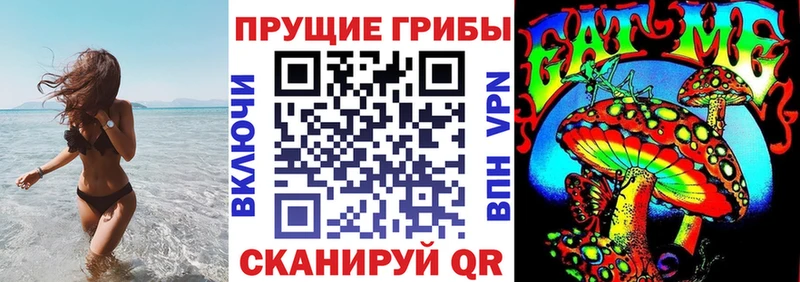 Галлюциногенные грибы Cubensis Сибай