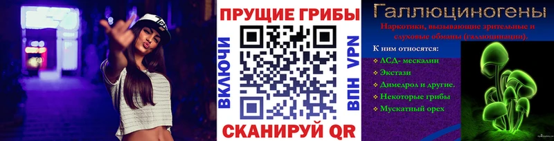 Купить где  Сибай  Псилоцибиновые грибы мухоморы 